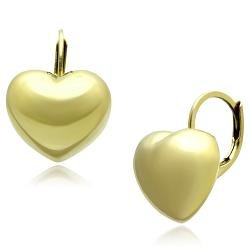 TK1128 - IP Gold(Ion Plating) Stainless Steel Earrings with No Stone